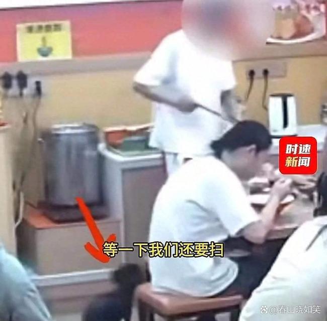 食客带狗没拴绳店主提醒反被打