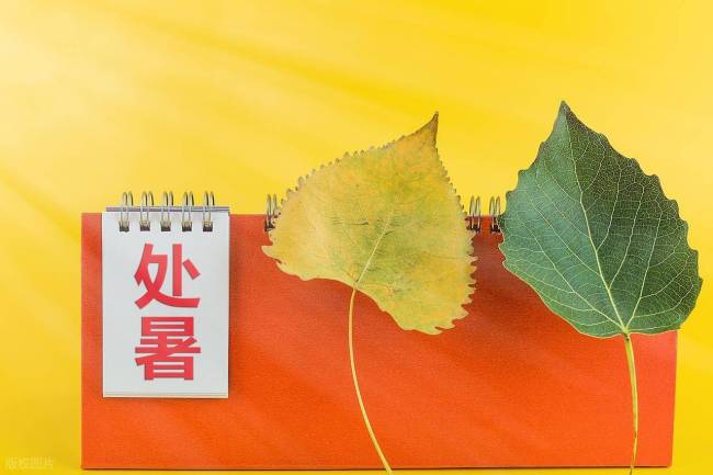 出伏雨涟涟，必定是灾年？农谚背后的原因 千年智慧与现代气象