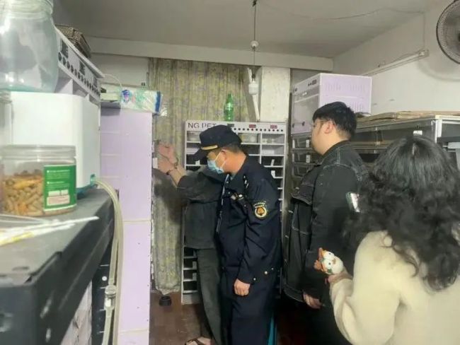 10名蟒蛇爱好者私自繁育野生动物：涉300多条蟒蛇，涉案金额3000多万元！已被抓获