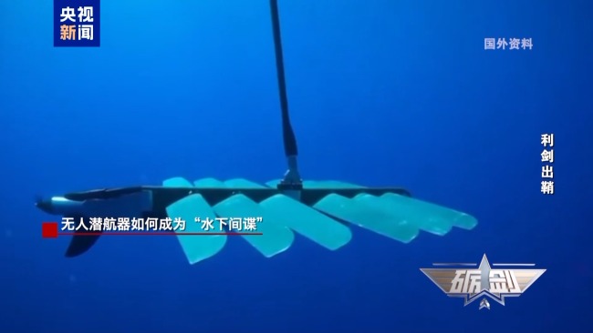 深海藏“諜”！漁民多次撈到“間諜魚”