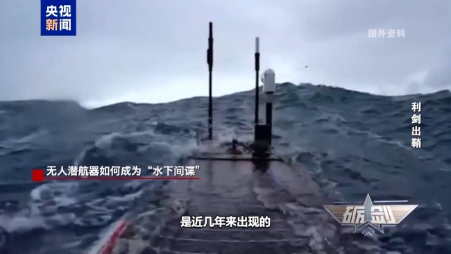 深海藏“諜”！漁民多次撈到“間諜魚”