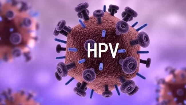 女子与男友同染HPV,专家:男性需警惕 恋爱中的健康警示