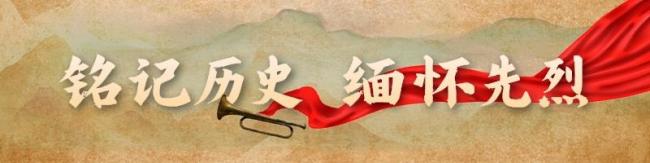 山西英雄母子一把菜刀的抗日故事