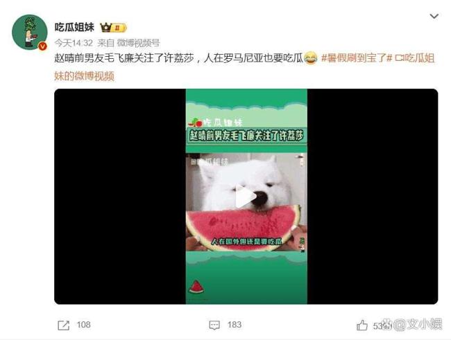 赵晴前男友在罗马尼亚也要吃瓜 跨界追剧引发热议