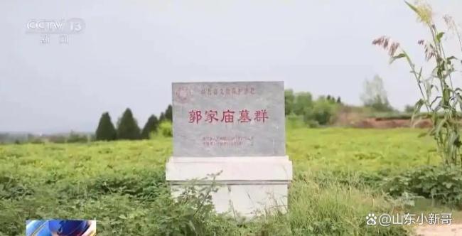男子看小说学盗墓挖走20余件国宝 小说成犯罪教材