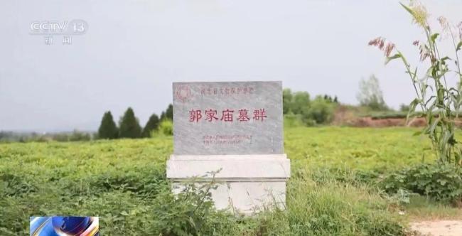 盗墓贼看小说学盗墓挖走20余件国宝 古墓青铜器被盗案告破
