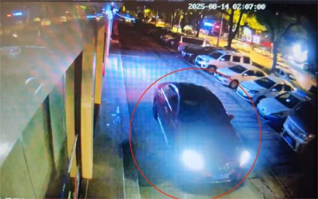 男子开豪车“拉车门”盗窃被抓 团伙作案终落法网