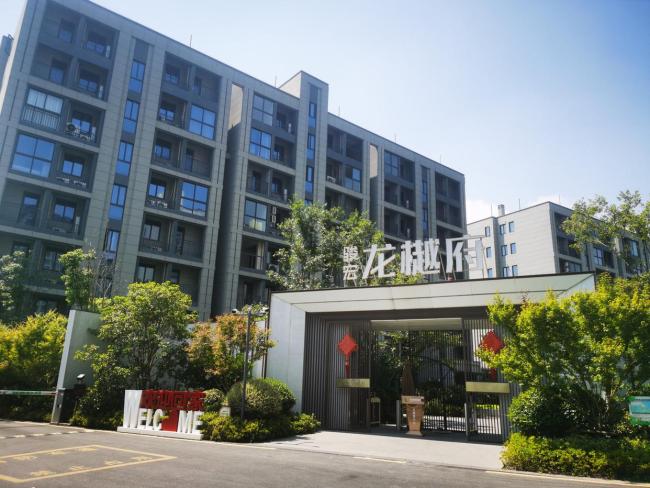 老人有认知障碍 跨省买房被拒退 家属踏上艰难退房路