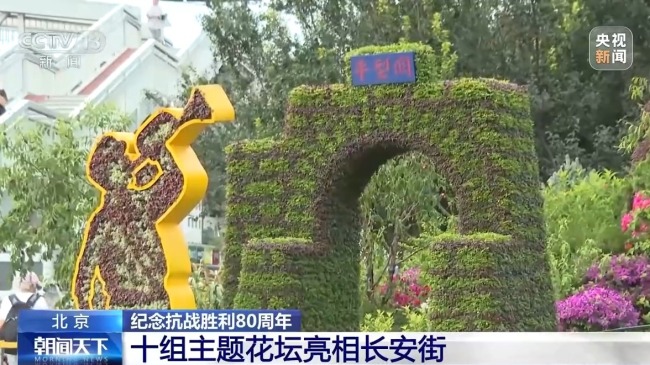 10組主題花壇亮相長(zhǎng)安街沿線 紀(jì)念抗戰(zhàn)勝利80周年