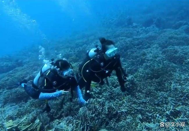 章子怡七夕晒与儿女旅行日常 温馨同框