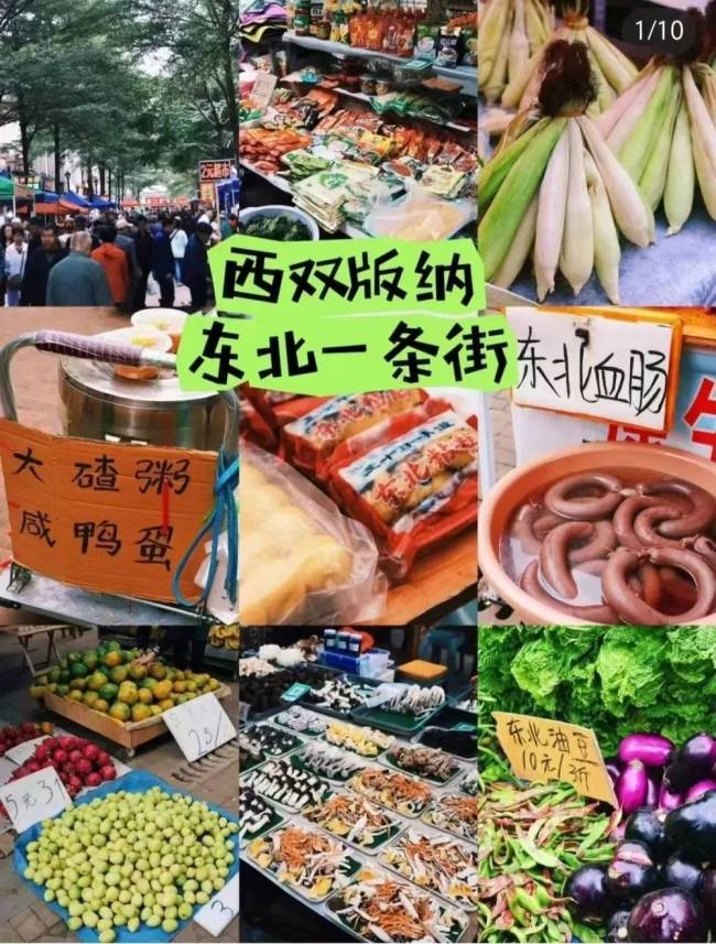 西双版纳被爆改成“东北版纳”