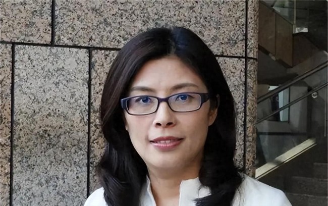 郑丽文:要让国民党脱胎换骨,敢说敢冲引发关注