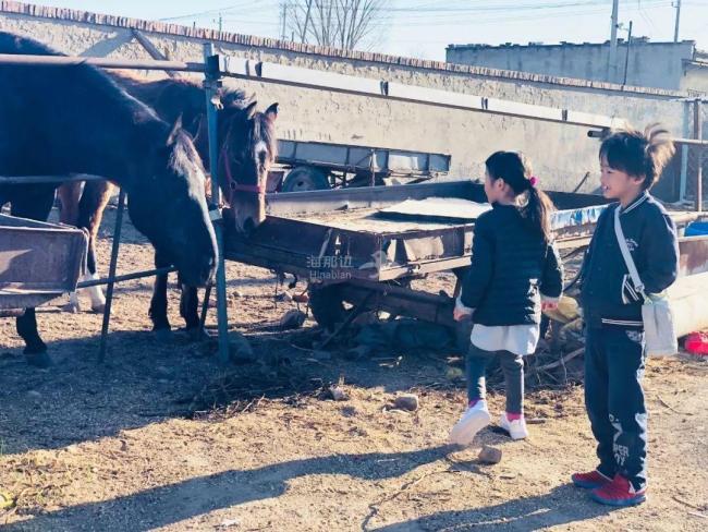 80后夫妻回农村改造荒宅 梦想家园的蜕变