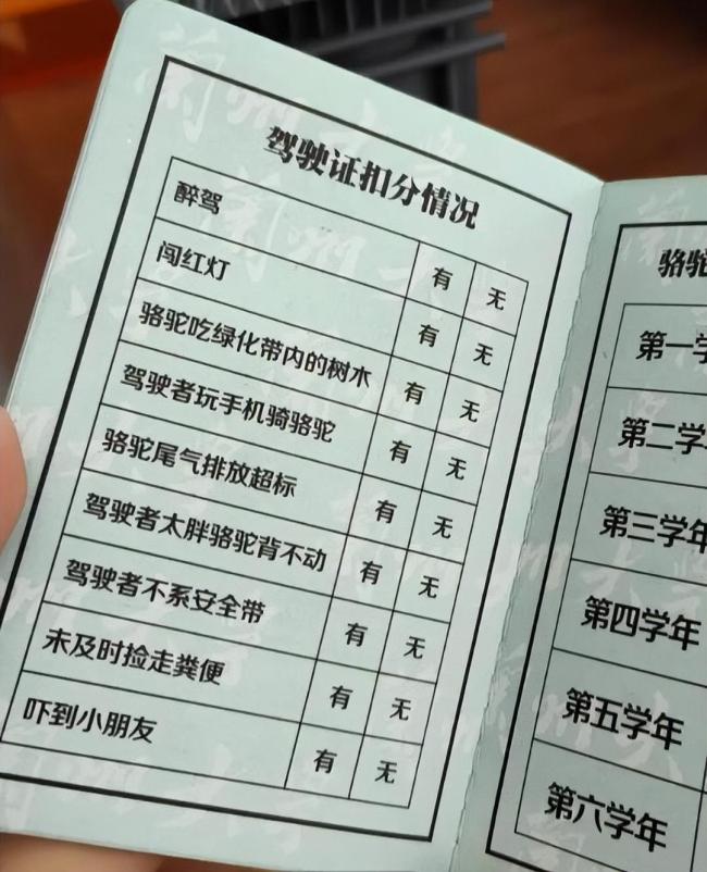 学生持证骑骆驼上学？兰州大学回应：骆驼驾驶证为兰州大学文创产品