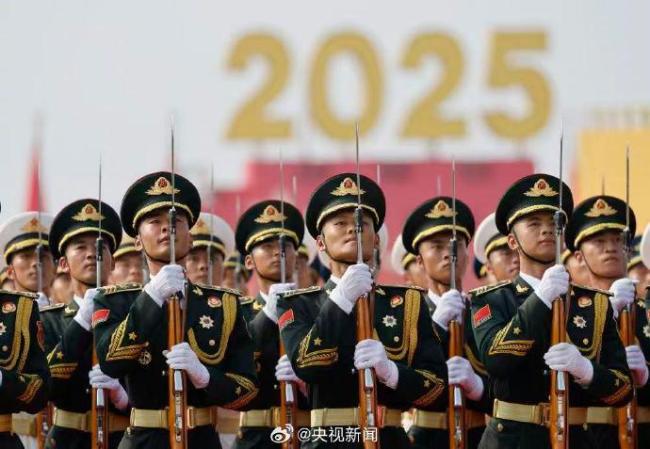 軍迷變軍盲 又興奮又迷茫！