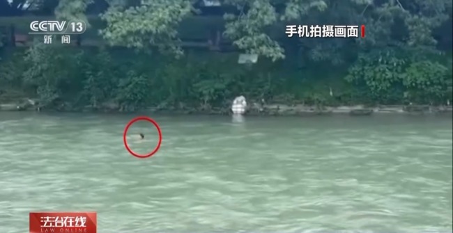 点赞平凡英雄 盘点那些英勇救人的感动瞬间！