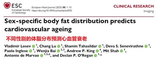 科学家眼中的“长寿身材”什么样 腰细臀粗腿粗更健康