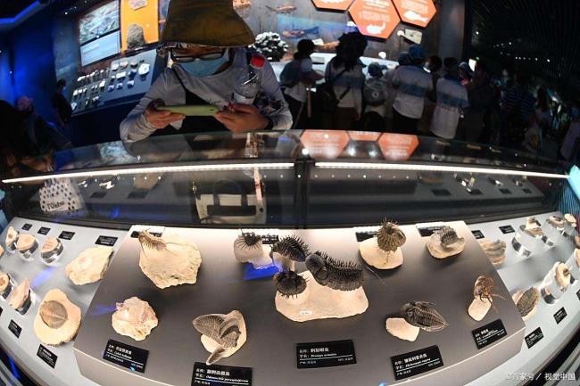 寒武纪股价暴涨背后的隐忧