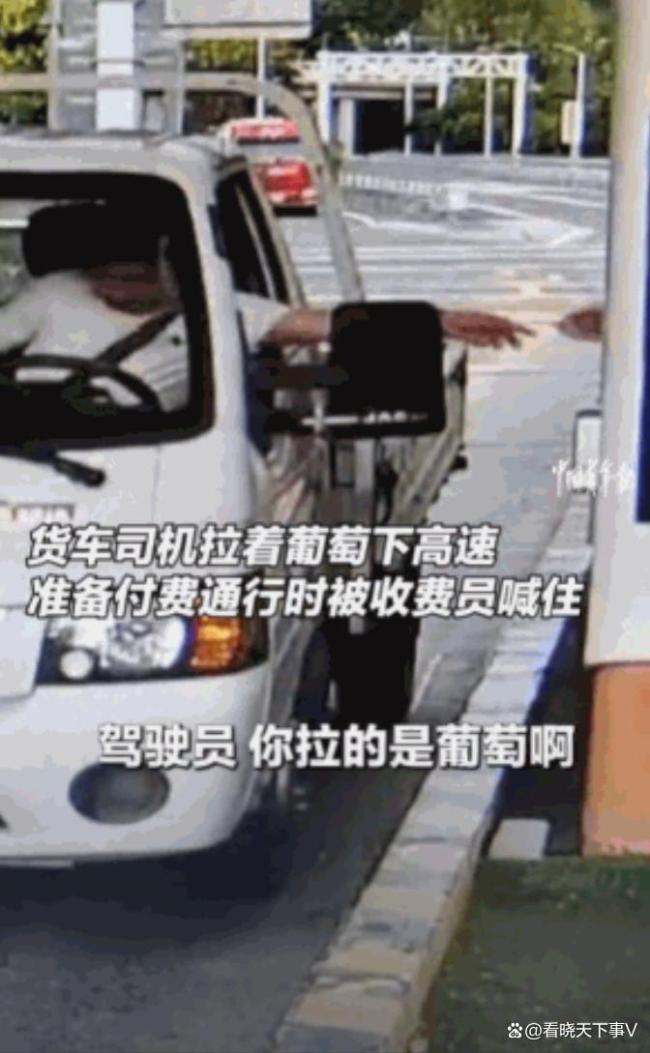 高速收费员提醒司机走绿通 暖心服务获赞