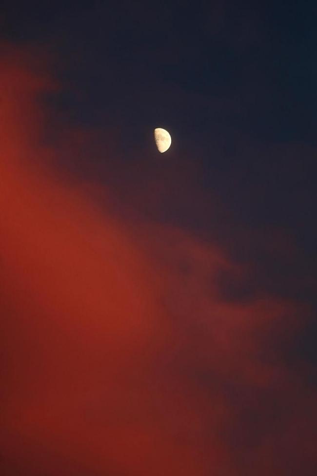 用手机也能拍月全食特写 三年一遇的浪漫奇观