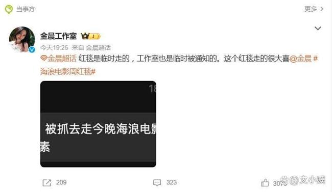 金晨工作室临时被通知走红毯 意外登场成清流