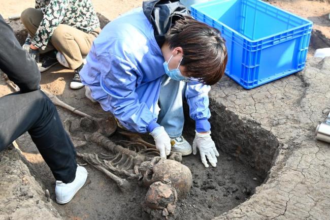 河南贾湖遗址发现8000多年前木棺