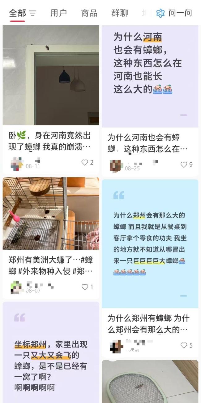 河南多地惊现南方会飞大蟑螂