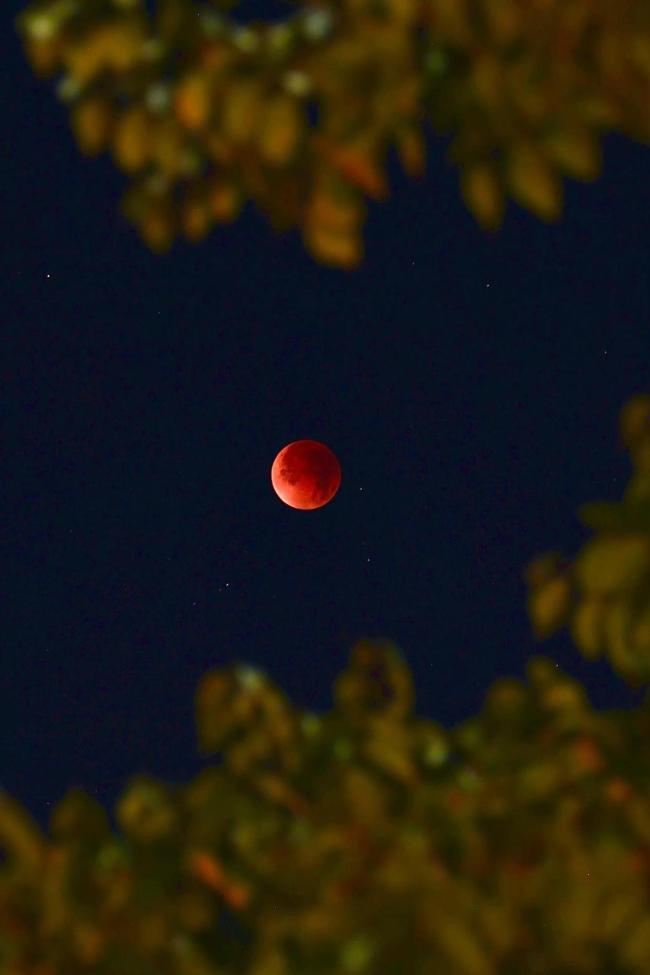 刷屏朋友圈！“紅月亮”高清大圖來了
