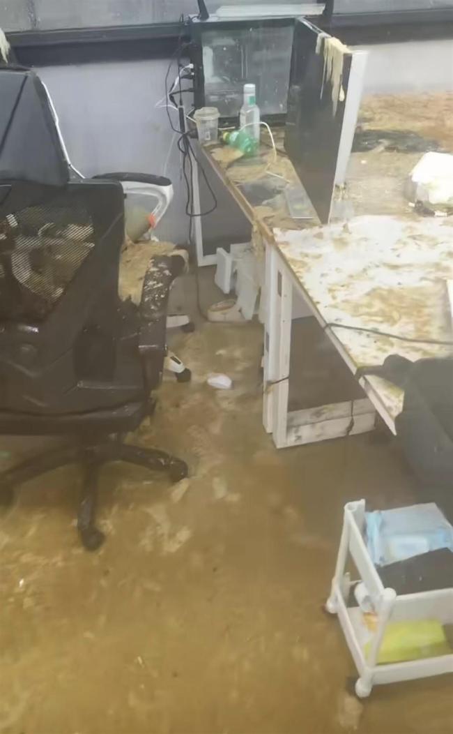 管道破损粪水洒满教室学生崩溃大哭