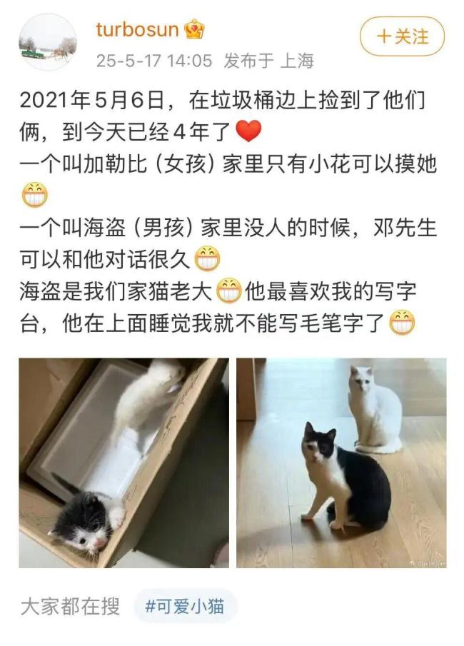 孙俪在菜市场捡了一只狗取名九菜 此前收养的流浪猫“加勒比和海盗”已经养了4年了