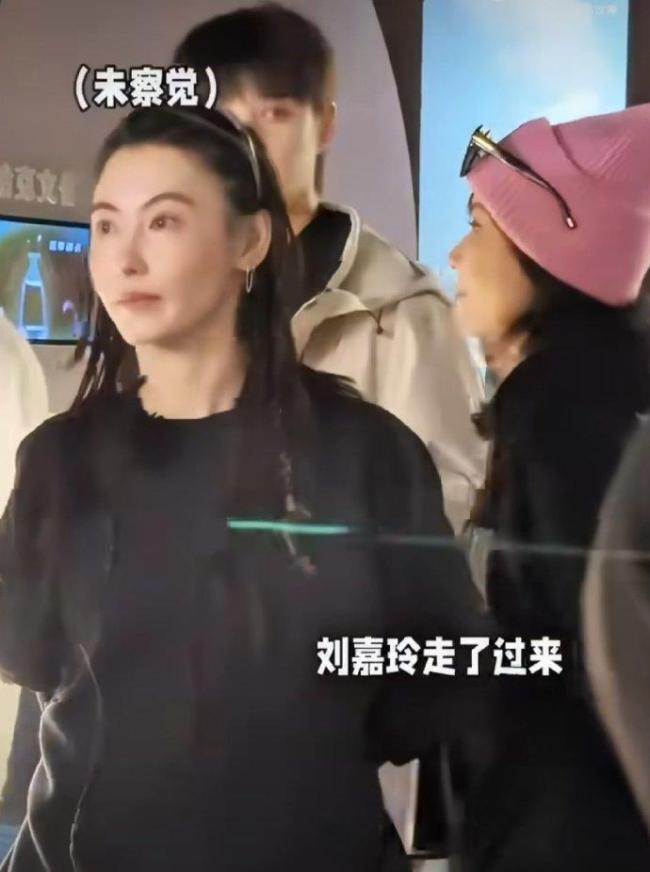 刘嘉玲录综艺被偶遇 一笑泯恩仇