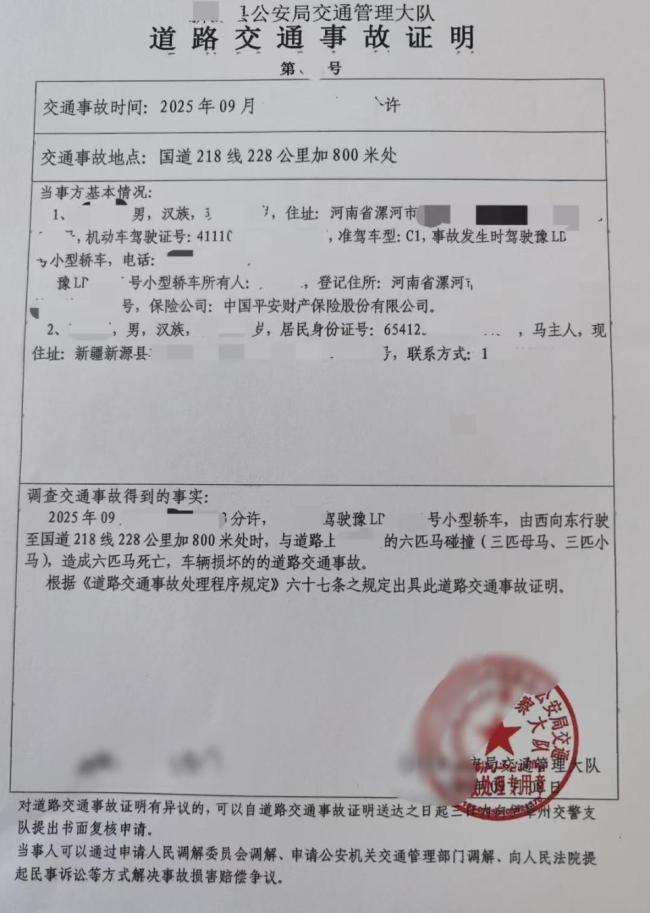 游客自驾撞死6匹马 牧民让赔4.5万 责任划分待定