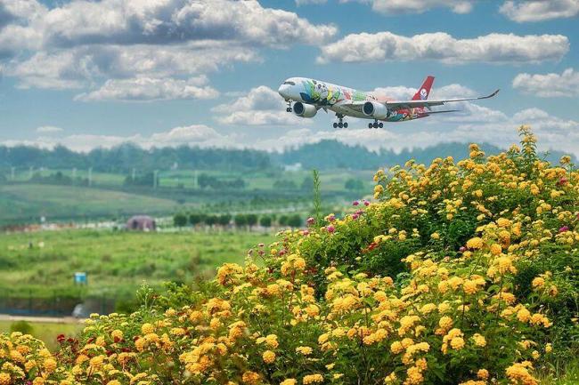 跟隨影視作品，到成都的街道走一走