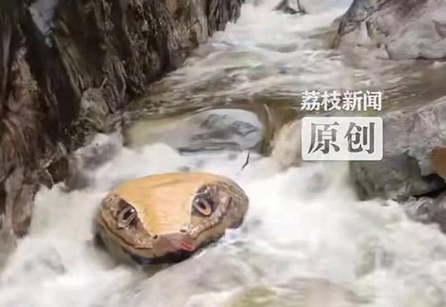 河南一景点石头被彩绘成巨型蛇头