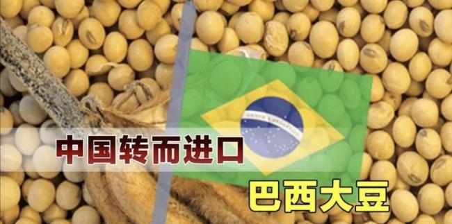 美农民绝望喊话：中国不买了只能搅碎 大豆滞销危机加剧