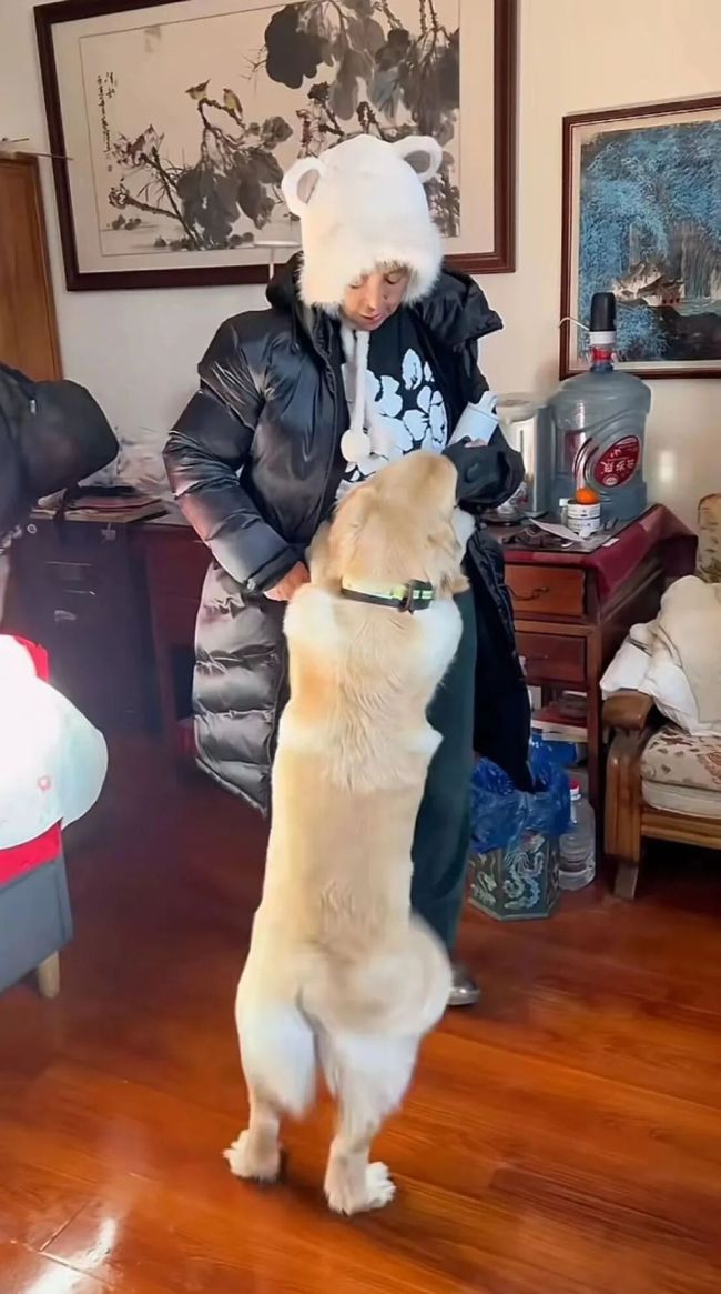 演员李勤勤发文：愿意收留于朦胧爱犬 愿为离世艺人宠物兜底