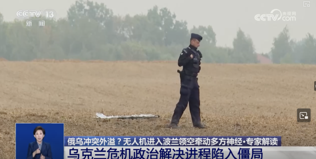 专家：乌危机政治解决进程陷入僵局