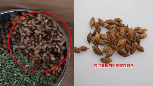 网红柴怼怼被刑拘 售假玉石与虚假宣传引发关注