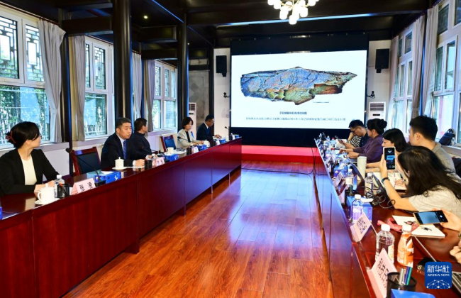 QIN在花园中创建石头