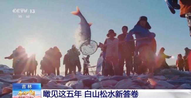 走進“五色吉林” 瞰見這五年白山鬆水新畫卷