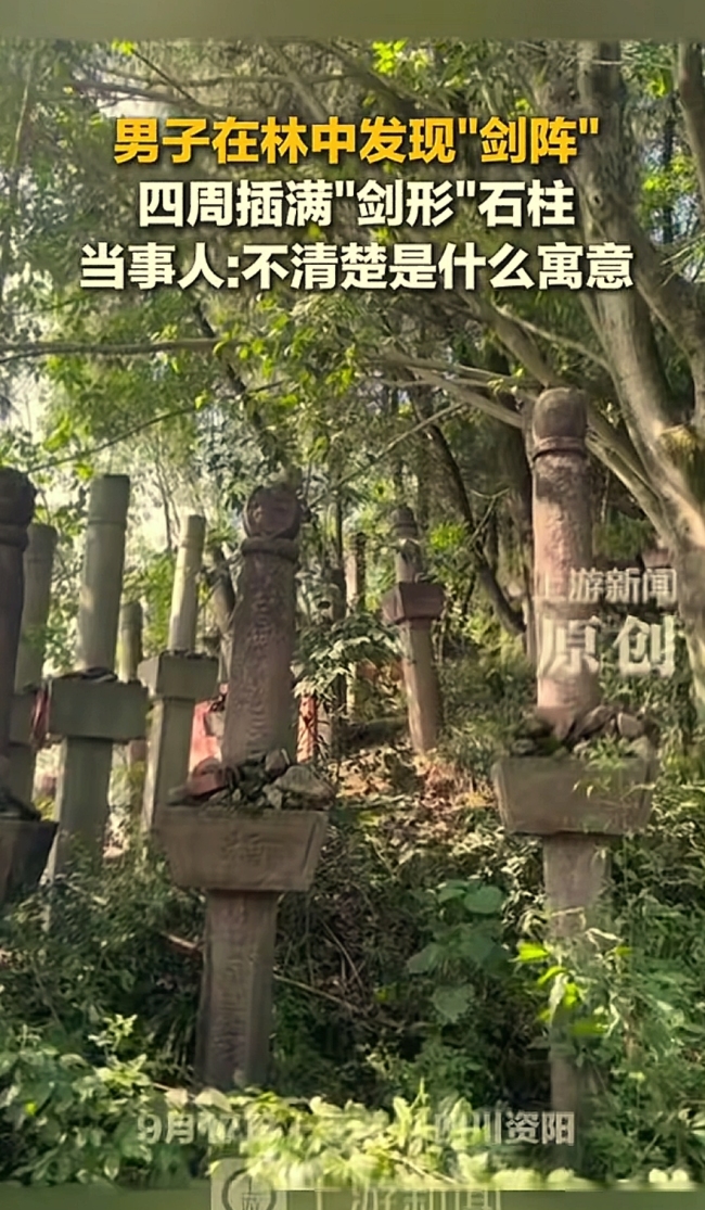 四川一男子在林中发现“剑阵”!