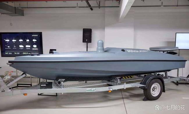 菲律宾莫用无人艇自杀 南海非黑海剧本难移植