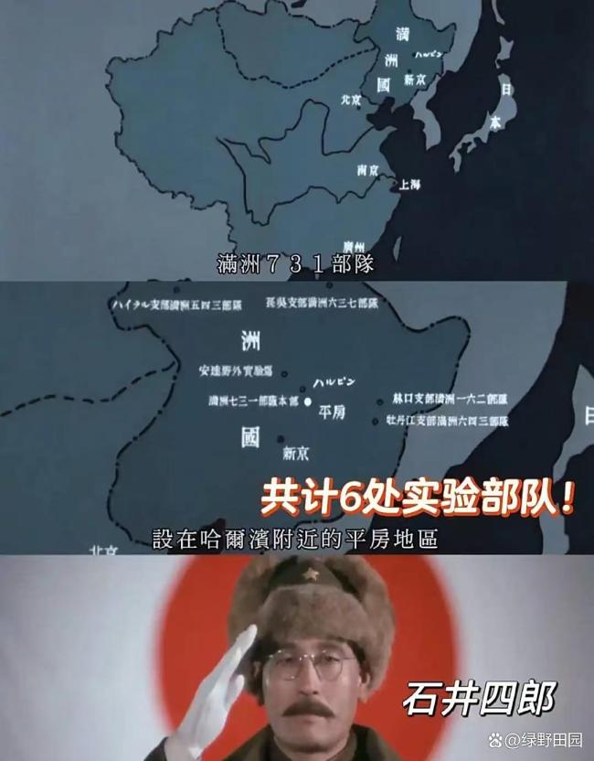 外国友人看《731》被震撼到落泪 历史真相触动全球观众