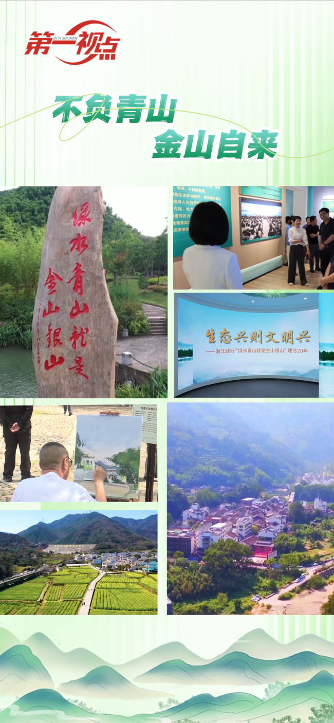 第一視點丨不負青山 金山自來