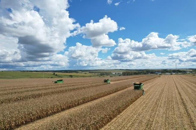 時(shí)政微觀察丨豐收時(shí)節(jié)感悟總書記的“三農(nóng)”情懷