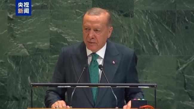 多国呼吁落实巴以“两国方案” 停火与建国并重