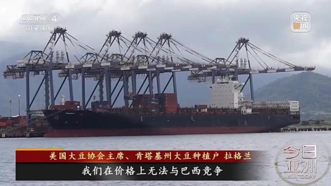 中國訂單：零！美國豆農坐不住了