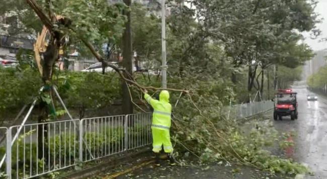 直击超强台风桦加沙过境 多地受灾严重