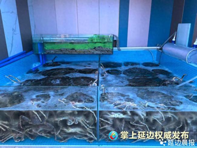 珲春口岸俄帝王蟹排队入境 为“双节”餐桌加餐