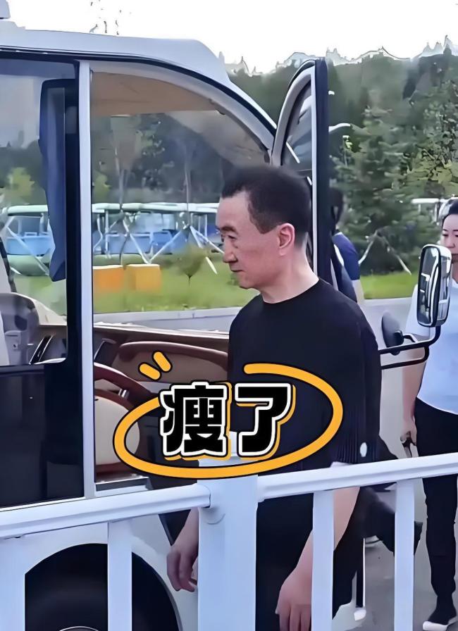 王健林还能把万达救回来吗 债务危机下的自救之路